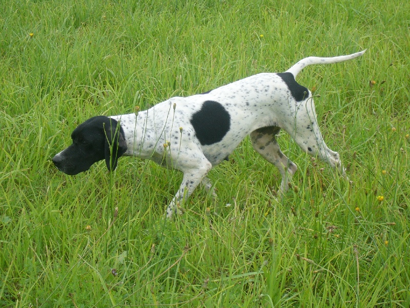 Fiona du Bois de Beuste